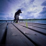 Looking for new&nbsp;possibilitys