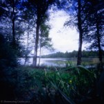 Guesstimated exposure….