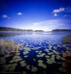 Pinhole Wonder World