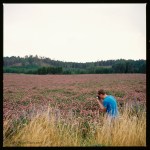 Photographing the clover&nbsp;field