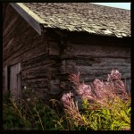 Old fishing shed&nbsp;1