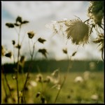 Insurance to come back again next&nbsp;year