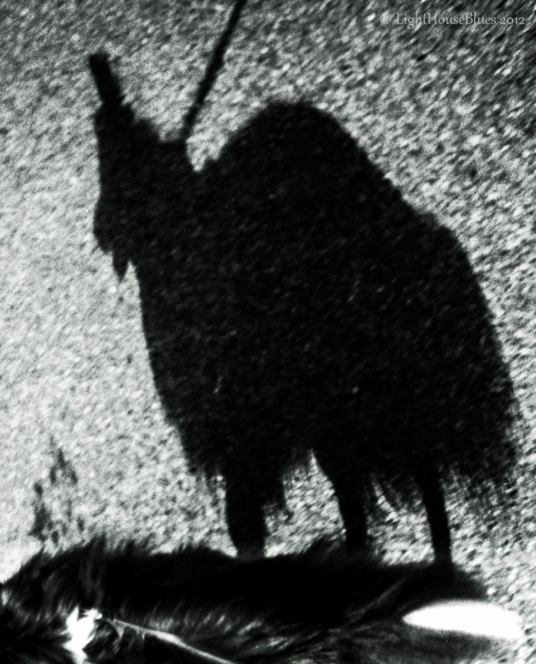 Spooky Ella - the ragged wolf...