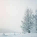 Color photography on a monochrome day&nbsp;3