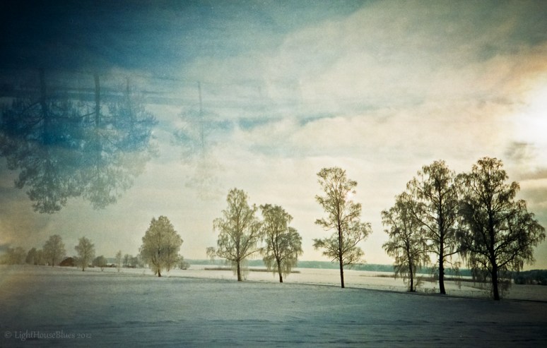 Lomo LC-A+Fuji Superia Extra 400C41 developed at home