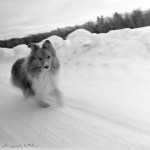 Having had a creative&nbsp;dip-4