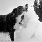 Having had a creative&nbsp;dip-5