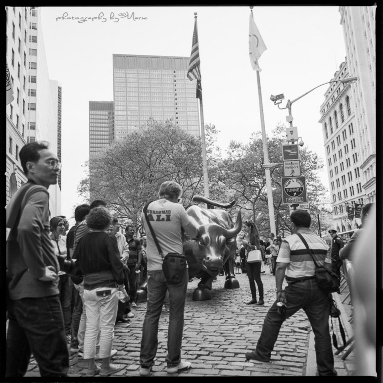 Hasselblad 503CX Kodak Tri-X 400