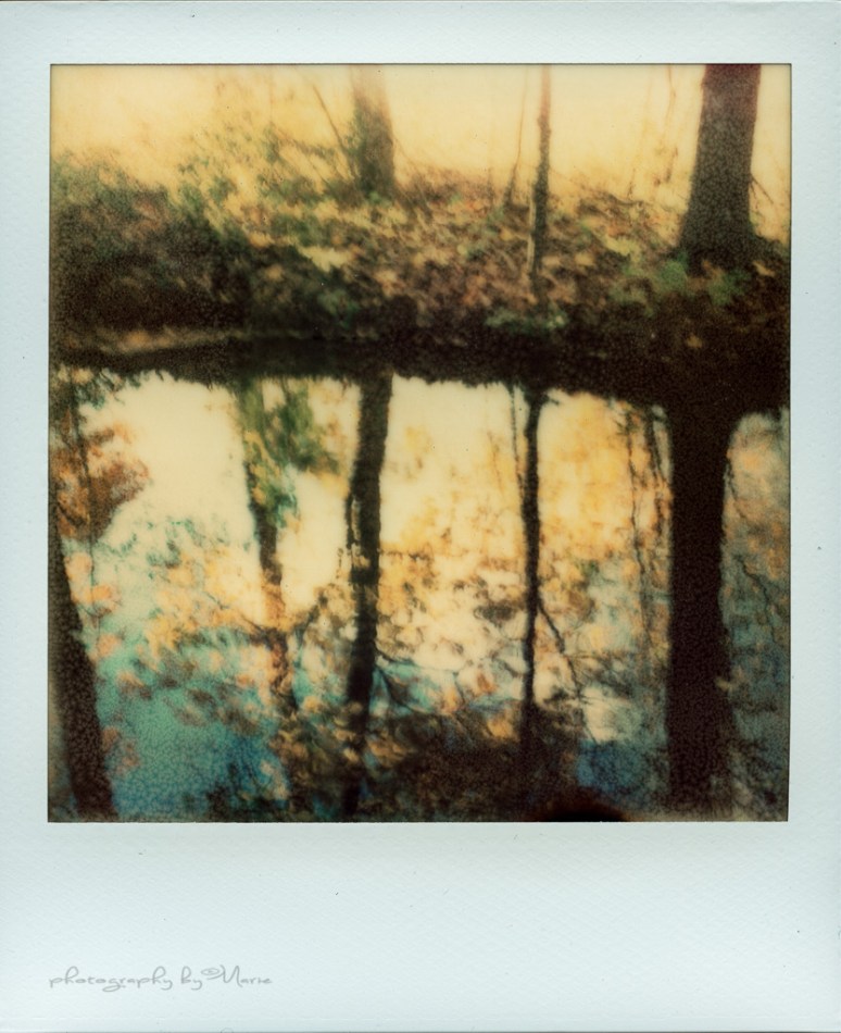 Polaroid SX70 Impossible Project PX70 Color Shade first flush