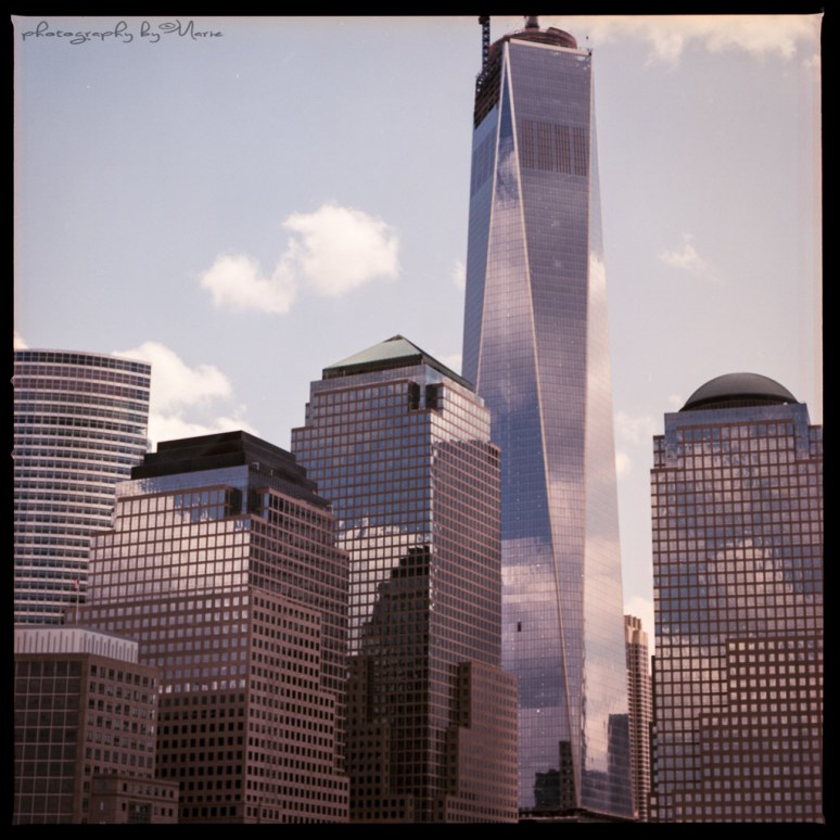 Hasselblad 503 CX Kodak Portra 400