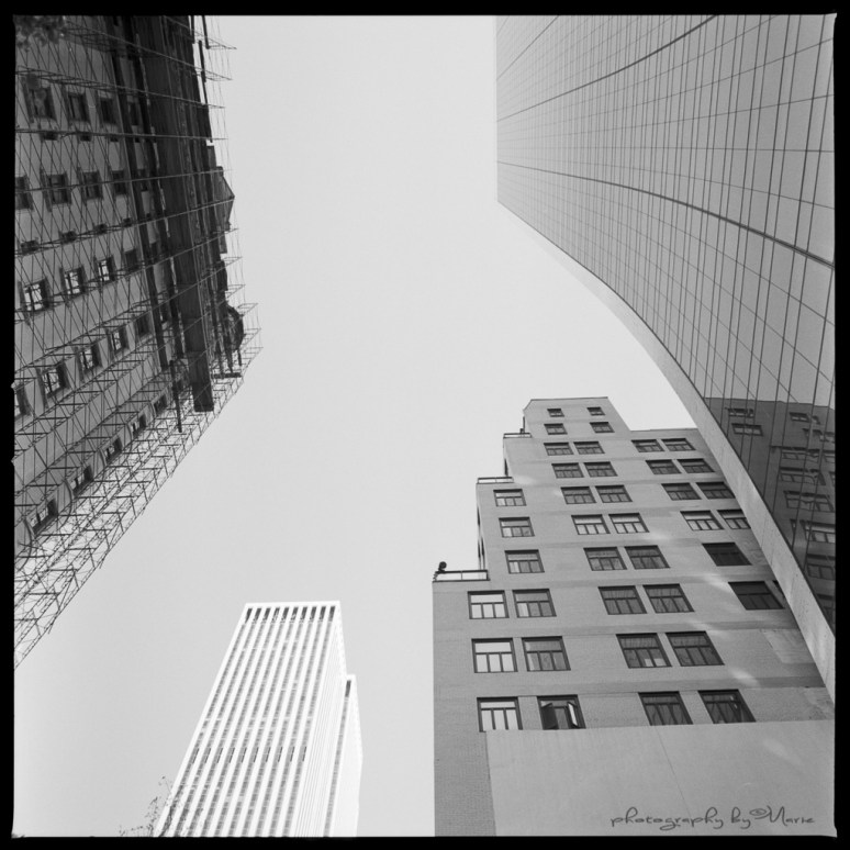 Hasselblad 503 CX Kodak Tri-X 400