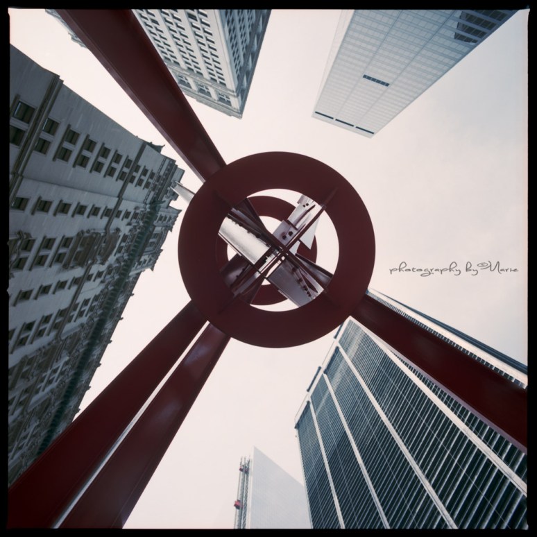 Hasselblad 503 CX Kodak Tri-X 400