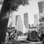 Streets of Manhattan&nbsp;bw5