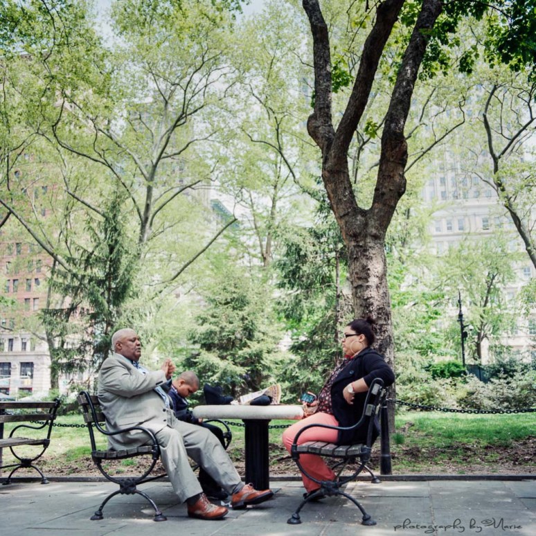 Hasselblad 503CX Kodak Ektar 100