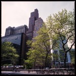 A little bit of New York&nbsp;greenery-2