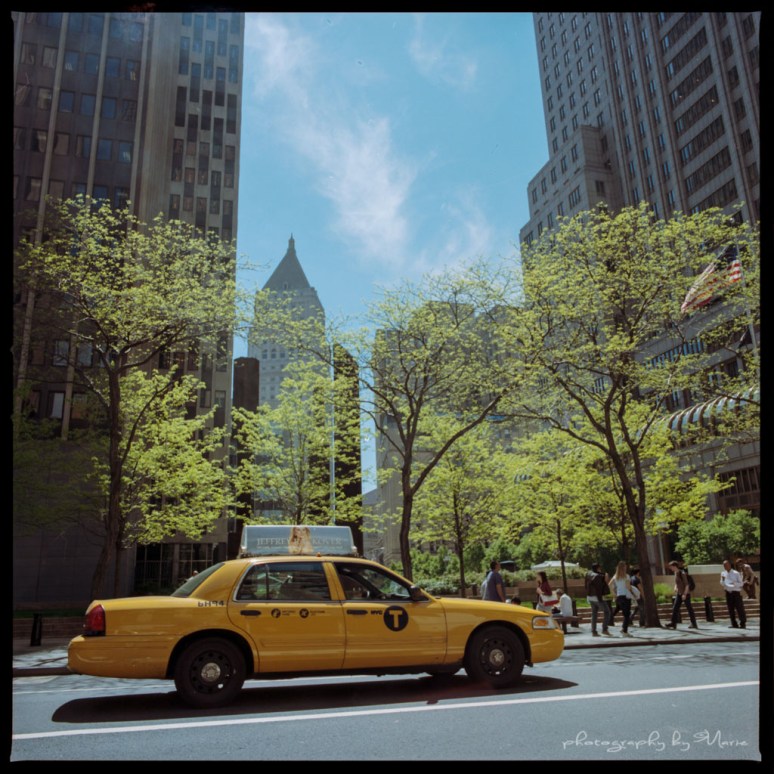 Hasselblad 503 CX Kodak Portra 400