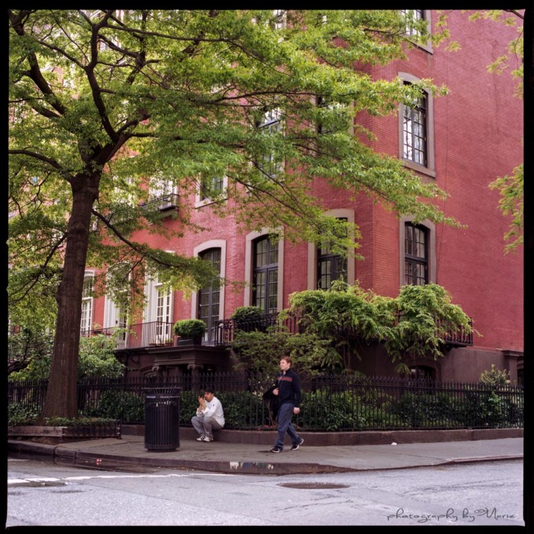 Hasselblad 503 CX Kodak Portra 400