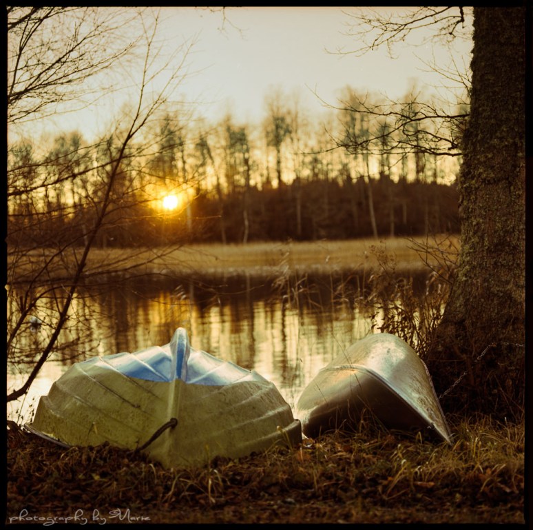 Hasselblad 503 + Planar 80mm Kodak Portra 400 C41 developed at home in Tetenal C41 chems