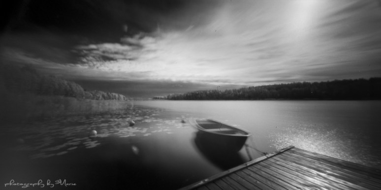 Holga 120 WPC Rollei IR + Wratten 89B Kodak Tmax dev 1:4