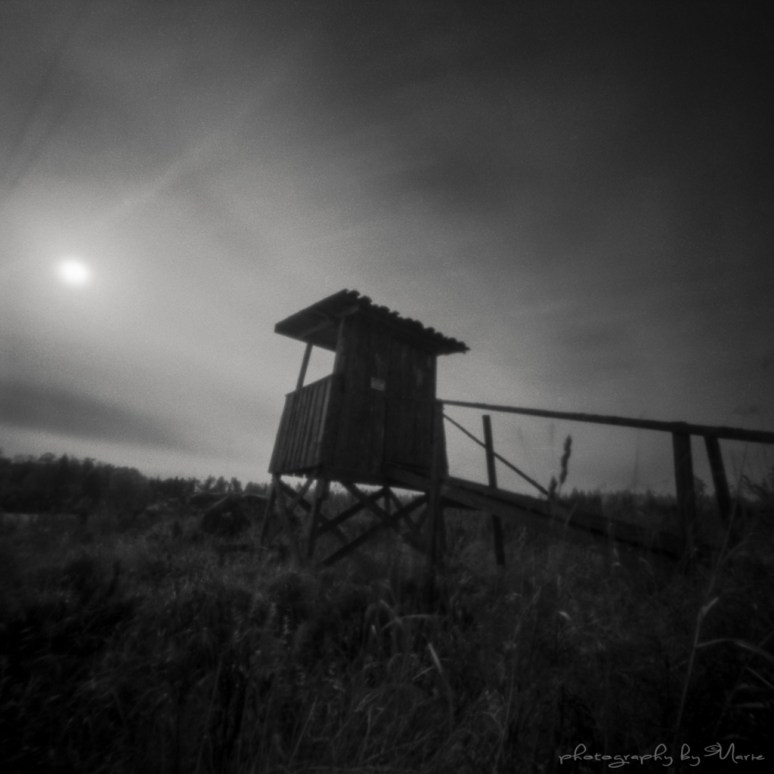 Zero 2000 + Wratten 89B Ilford SFX @ ISO 3 Kodak Tmax dev 1:4