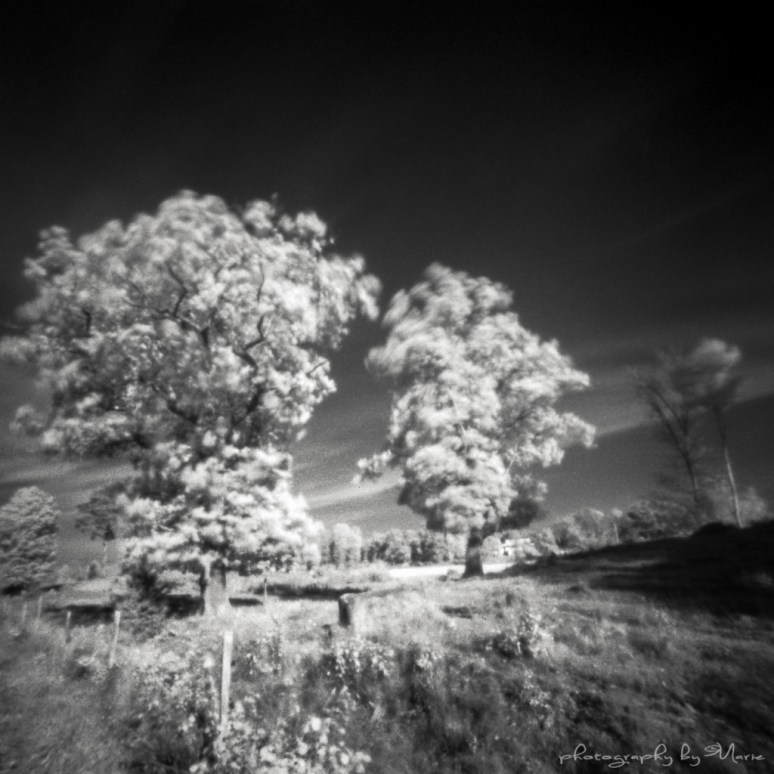 Zero 2000 + Wratten 89B Ilford SFX @ ISO 3 Kodak Tmax dev 1:4