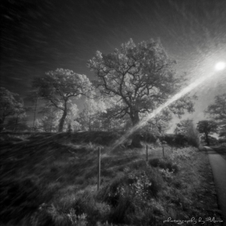 Zero 2000 + Wratten 89B Ilford SFX @ ISO 3 Kodak Tmax dev 1:4