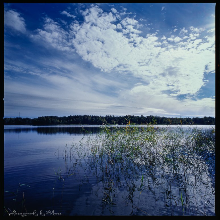 Hasselblad 503 CX Kodak Ektachrome 100VS Tetenal Colortech E6 kit