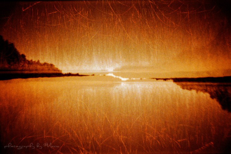 La Sardina Lomography Redscale XR 50-200 Developed in Tetenal C41 at home