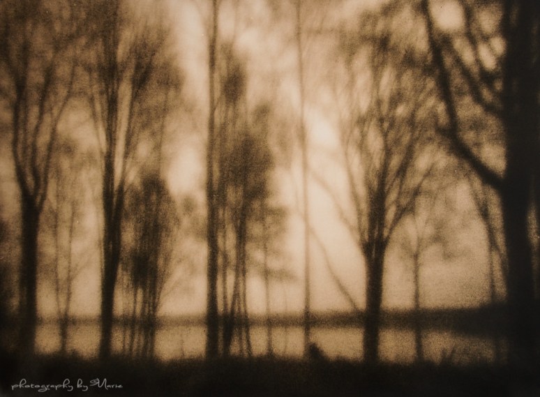 Zero Image 612F Fuji Acros 100 handheld exposure for about 30 sec Kodak Tmax developer 1:4 Fomatone MGFB131 Lith dev LD20