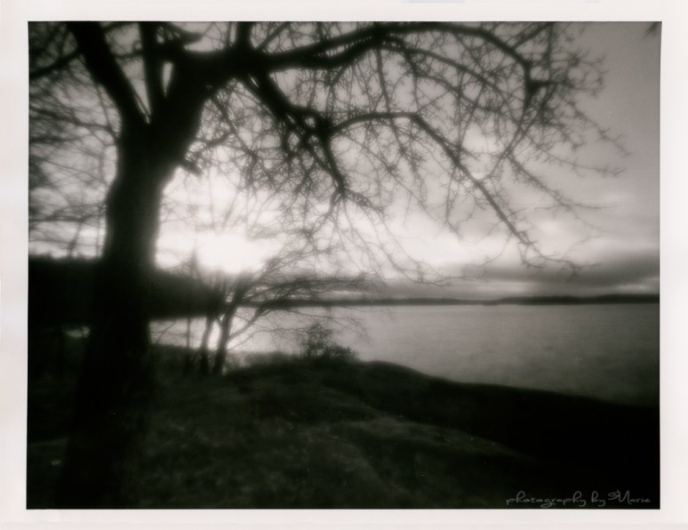 Zero Image 612F Fuji Acros 100 Tmax dev 1:4 Ilford Multigrade developer for paper Ilford MGFBWT1K