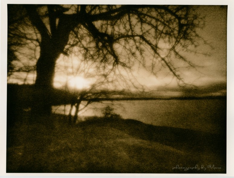 Zero Image 612F Fuji Acros 100 Kodak Tmax dev 1:4 Fomatone FBMG 131  LD 20 lith developer + a little dash of Old Brown 