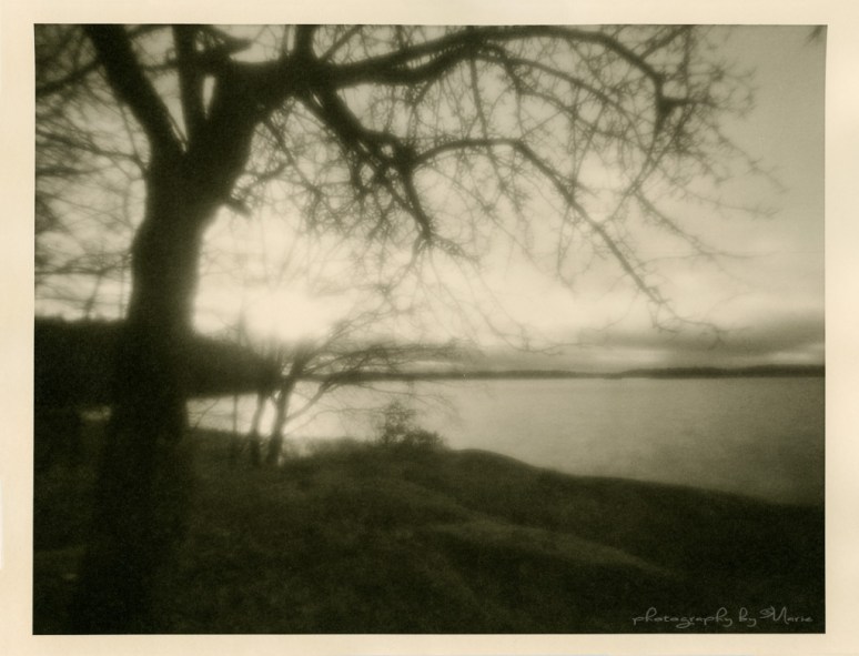 Zero Image 612F Fuji Acros 100 Tmax dev 1:4 Ilford Multigrade developer for paper Fomatone FBMG Chamois 542-II