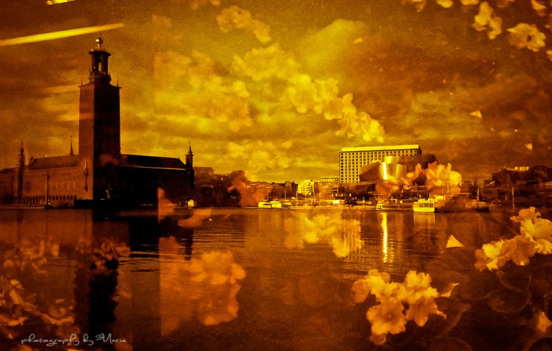 Lomo LC-A+ Lomography Redscale XR 50-200 Developed at home in Tetenal Colortec C41 