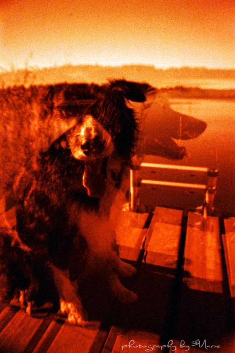 La Sardina Lomography Redscale XR 50-200 Developed at home in Tetenal C41 Colortech