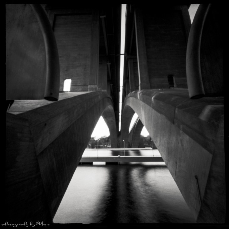 Zero Image 2000 Ilford Pan F+ Ilfotec DD-X