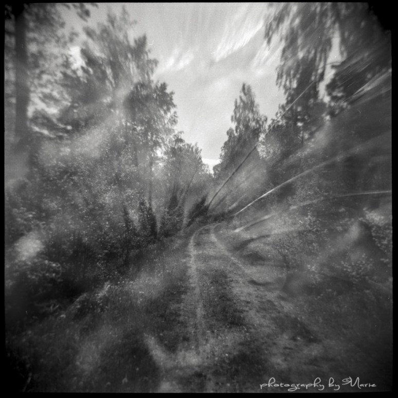 Holga GCFN 120 + macrolens 30mm Ilford FP4+ Ilfotec DD-X 1:4