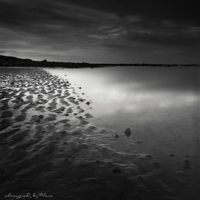 Hasselblad 503CX + LEE ND filter Kodak T-max 100 Tmax dev 1:4