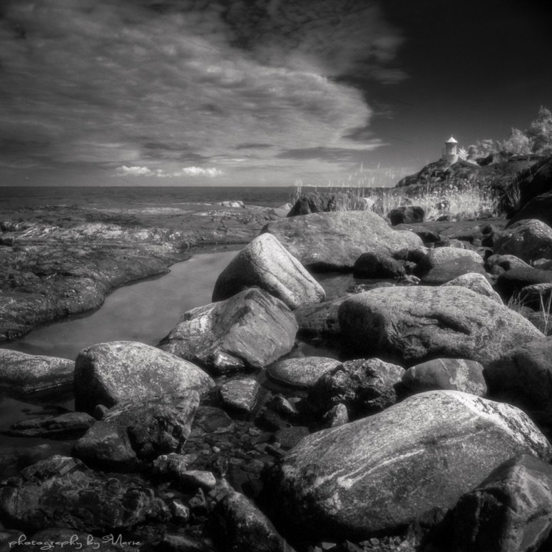 Hasselblad 503cx Efke IR 820 + IR 720 filter Kodak Tmax dev 1:4