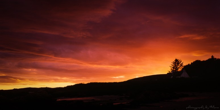 Hasselblad 503CX Fuji Velvia 50 RVP Tetenal E6 developed at home