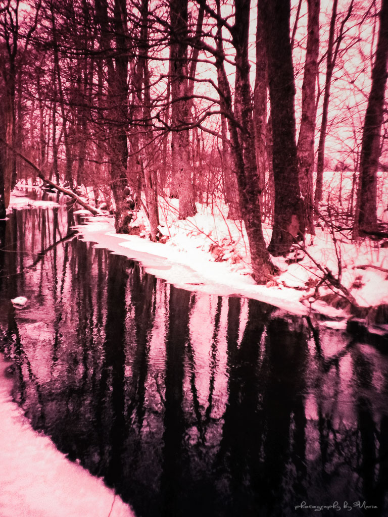 LC-A+ Lomography Tungsten 64 ISO Developed at home in Tetenal C41