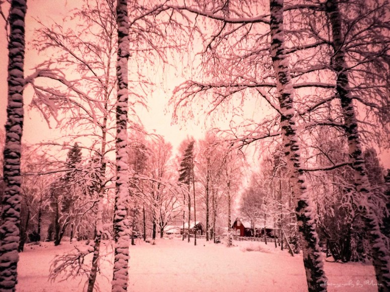 LC-A+ Lomography Tungsten 64 ISO Developed at home in Tetenal C41