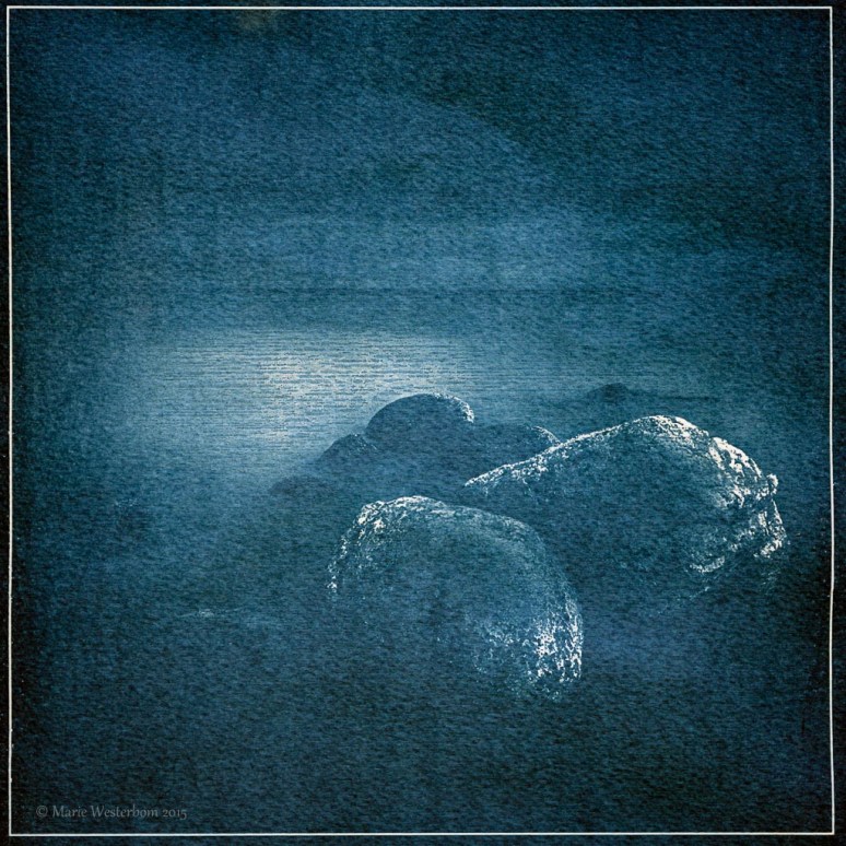 Cyanotype print Hasselblad 503cx Kodak T-max 100 Kodak Tmax dev 1:4