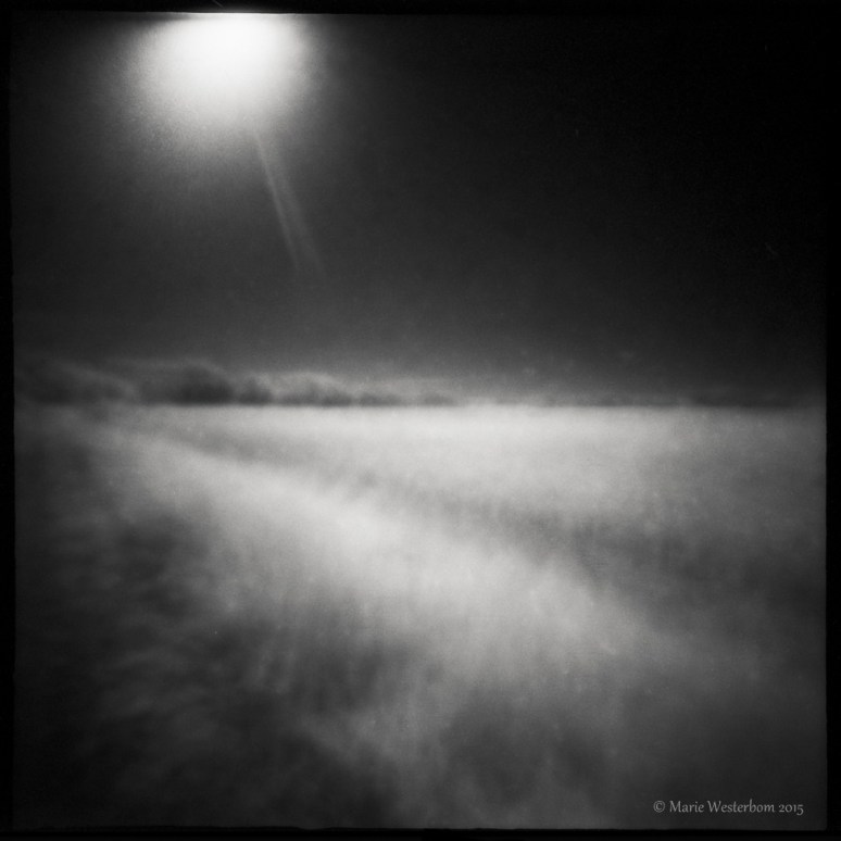 Zero Image 2000 Efke IR 820 + Wratten 89B Kodak HC110 dil B Handheld exposure for about 2 minutes