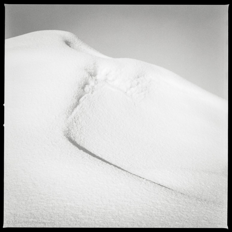 Hasselblad 500cm Ilford HP5+ Kodak HC-110 1+49