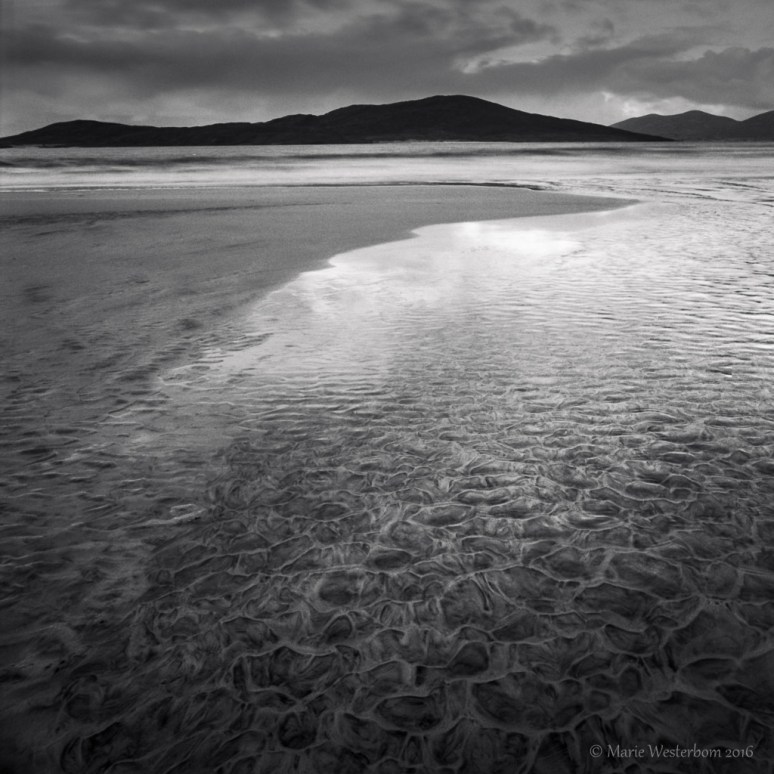 Hasselblad 500 cm + Distagon 50/4 Kodak TMX 100 Kodak HC 100 B