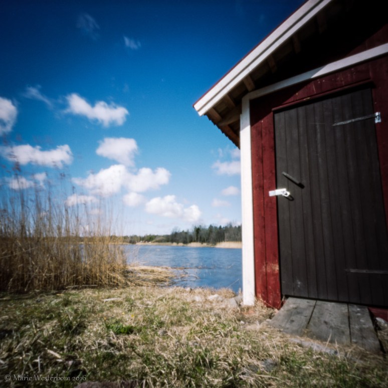 Zero Image 2000 BTN Fuji Reala 100