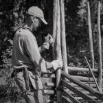 our-traditional-old-swedish-fence-14