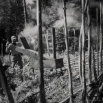 our-traditional-old-swedish-fence-16