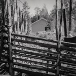 our-traditional-old-swedish-fence-19