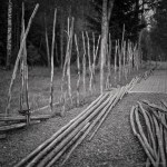 our-traditional-old-swedish-fence-2